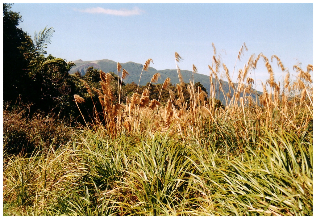 04 - Hell's Gate (7).jpg